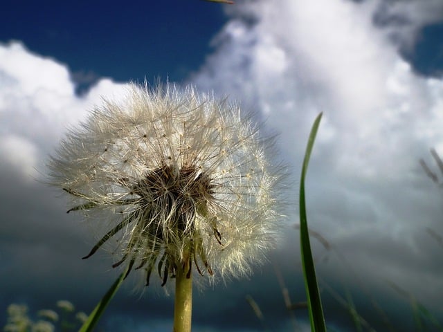 Look Up